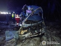 Слідчі затримали водія мікроавтобуса, підозрюваного у спричиненні аварії зі смертельними наслідками