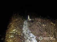 На Мукачівщині під час полювання смертельно поранили чоловіка: поліція затримала причетного до вбивства через необережність