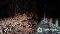 Поліцейські Київщини розслідують обставини ДТП на Обухівщині, у якій травмувався водій та пасажирка