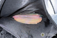 Оперативники Управління карного розшуку викрили серійного злодія, який обікрав пенсіонерку у Вінниці