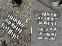 Понад 370 тисяч гривень збитків за тиждень — на Дніпропетровщині виявили 55 порушень правил рибальства