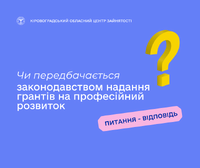 Чи передбачається законодавством надання грантів на професійний розвиток?