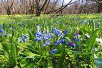 Парасолі далеко не ховайте бо на Придніпров’я йдуть дощі та несподіване потепління до 19 градусів