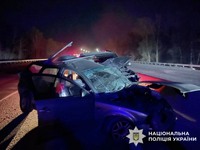 Поліцейські Київщини розслідують обставини ДТП на Фастівщині