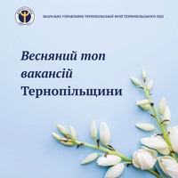Понад 2100 вакансій на Тернопільщині: кого шукають роботодавці