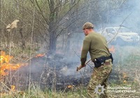 Поліцейські Полтавщини оперативно ліквідували пожежу на узбережжі