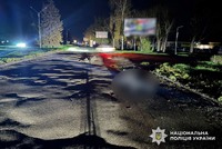 На Полтавщині поліція затримала водія, який скоїв смертельне ДТП та покинув місце події