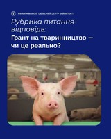 Чи можна отримати грантову підтримку на відкриття або розвиток свиноферми?