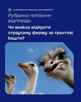 Чи реально отримати державну підтримку на такий екзотичний вид бізнесу, як розведення страусів?