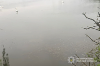 Трагічний випадок на водоймі: на Тернопільщині виявили тіло 55-річного чоловіка