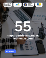 «Власна справа» на Тернопільщині: результати 6 та 7 хвиль