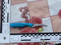 На Стрийщині поліцейські затримали зловмисника, який поранив ножем маму співмешканки