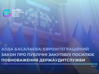 Держаудитслужба отримає більше повноважень через єврозакон: заява Басалаєвої