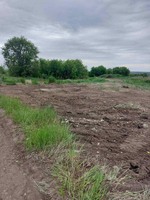 На Павлоградщині ліквідували чотири стихійні сміттєзвалища