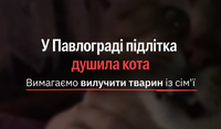 Відео зі знущанням неповнолітньої над котом у Павлограді обурило соцмережі та змусило втрутитися зоозахисників
