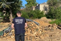 У Павлоградському районі викрили «чорних лісорубів», які масово нищили лісосмуги