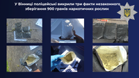 У Вінниці поліцейські викрили три факти незаконного зберігання 900 грамів наркотичних рослин