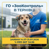 У Тернівці працюватиме громадська організація «ЗооКонтроль» — як подати заявку на вилов і стерилізацію безпритульних собак