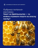 Рубрика #ПитанняВідповідь: Грант на бджільництво — чи можна отримати кошти на власну пасіку?