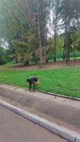 Перевірка відбуття покарання у виді громадських робіт