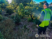 У Путивлі поліцейські викрили чоловіка, який зберігав канабіс