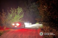 На Уманщині нетверезий водій в’їхав у ставок: загинула пасажирка, поліцейські затримали чоловіка