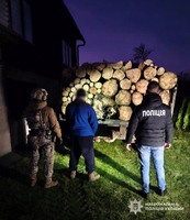 На Закарпатті поліція викрила організовану злочинну групу «чорних» лісорубів, які завдали збитків державі на майже 6 млн грн