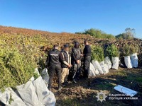 9 років за ґратами: у Мукачеві суд виніс вирок наркоділку, якого викрила поліція