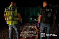 10 000 доларів за вплив на службовців ТЦК: на Черкащині поліцейські затримали жінку за одержання неправомірної вигоди