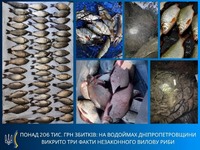 На Самарі поблизу Павлограда спіймали браконьєра — сітки обійшлися у 79 тисяч гривень