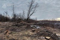 На Павлоградщині судитимуть банду «чорних лісорубів», серед яких був патрульний