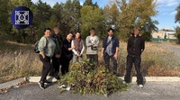 Пробація та добрі справи: неповнолітні долучилися до допомоги диким тваринам